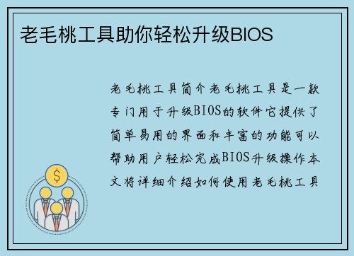 老毛桃工具助你轻松升级BIOS
