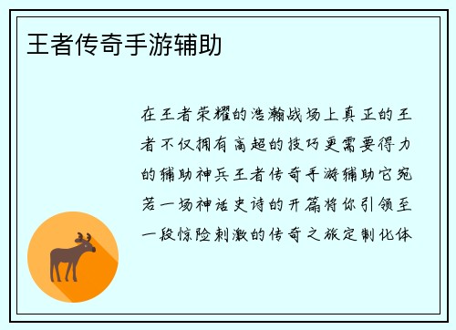 王者传奇手游辅助